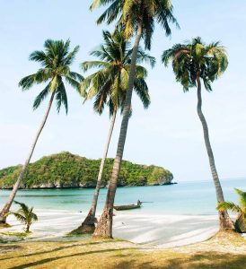 staylar–ko-samui